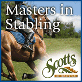 Scotts Stables Wooden Stables for Horses