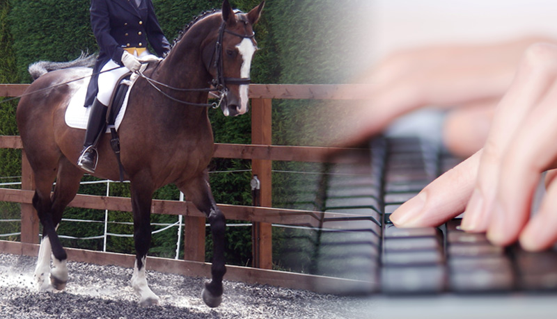 British Dressage Events Link